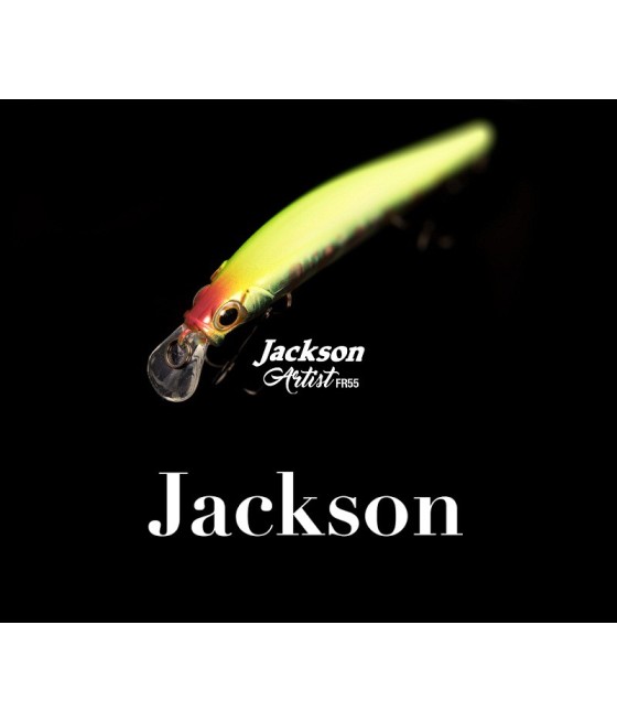 JACKSON ARTIST FR55