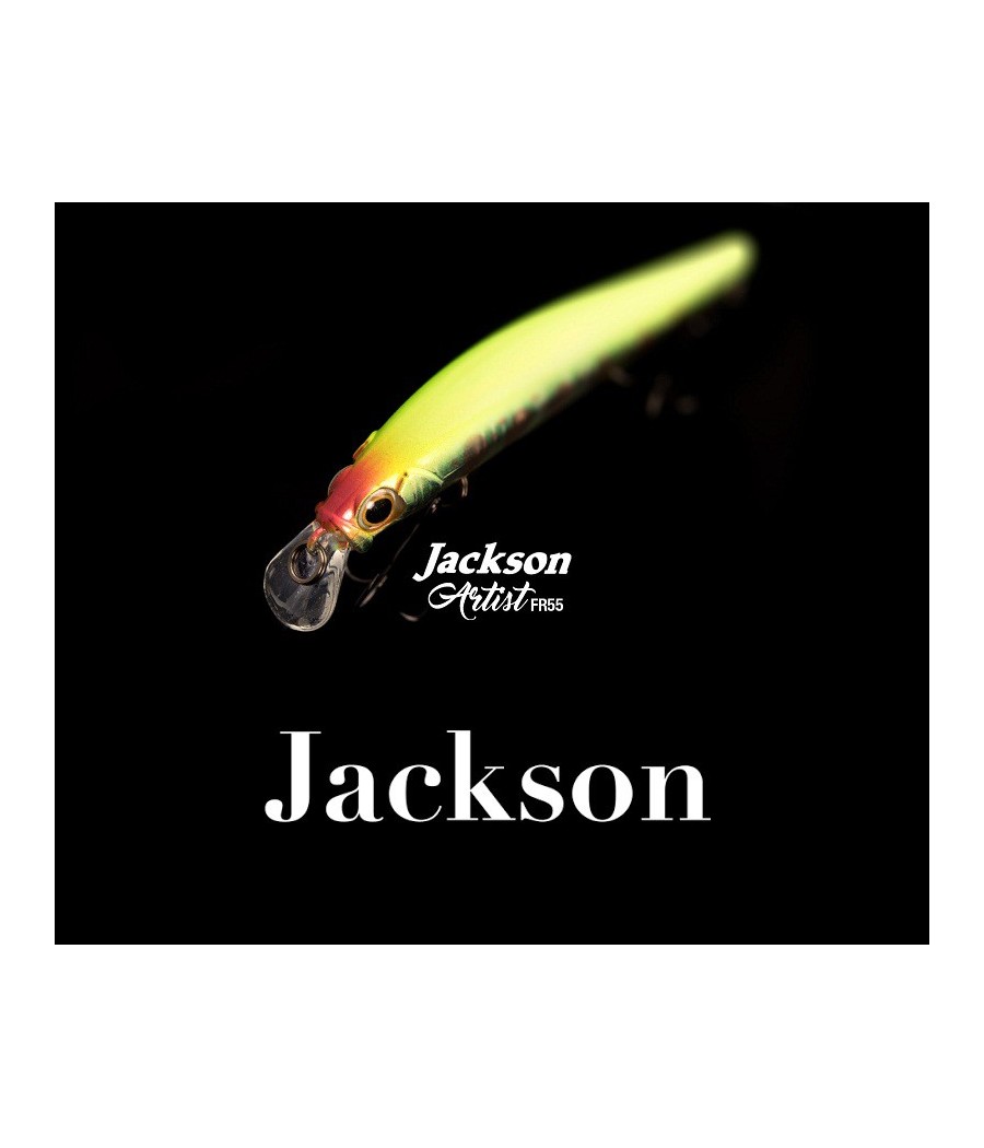JACKSON ARTIST FR55