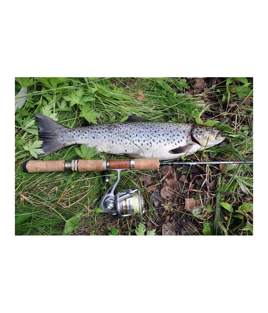 CANNE TRUITE SMITH TROUT IN INTER BORON XX 88MSD