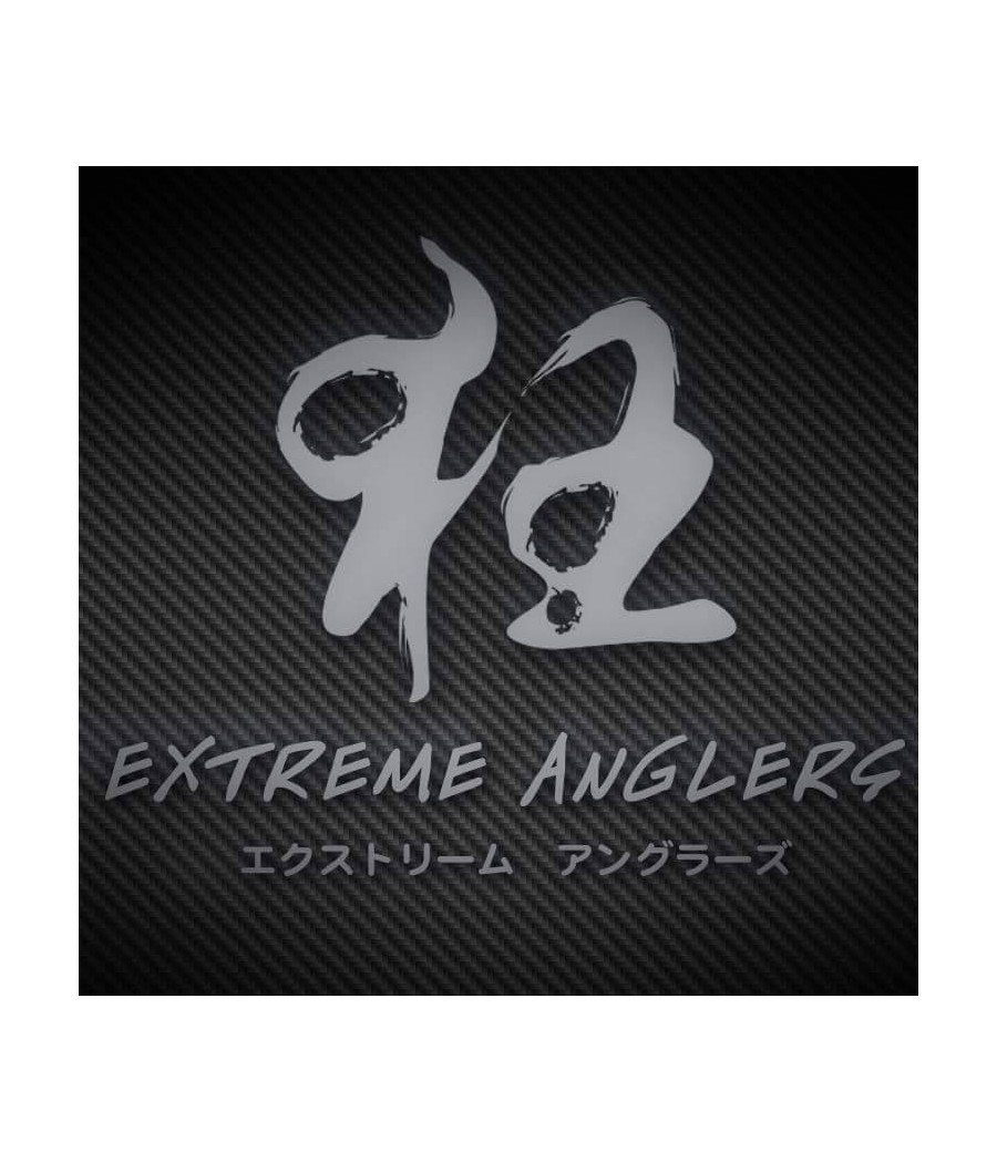 EXTREME ANGLERS 10/30 lbs TRAVEL ROD 4 Brins 