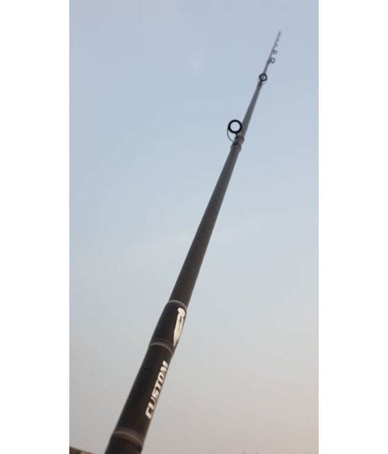 EXTREME ANGLERS MONSTER ROD PE2.5 CASTING