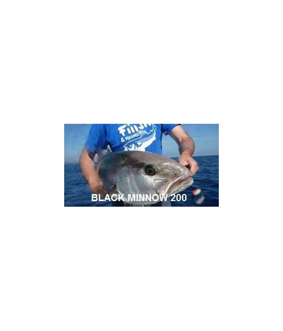 FIIISH -  BLACK MINNOW 200