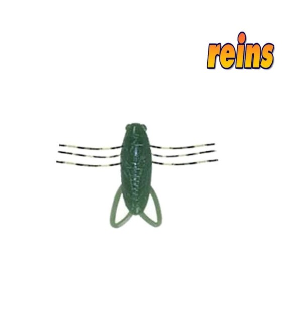 REINS INSECTER