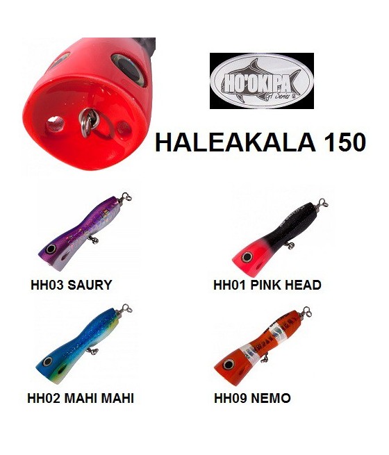 HO'OKIPA - HALEAKALA 150