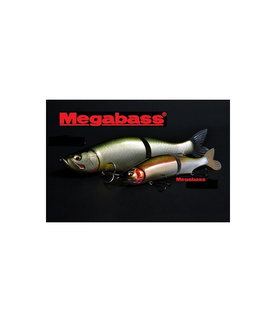 MEGABASS I SLIDE 262 T