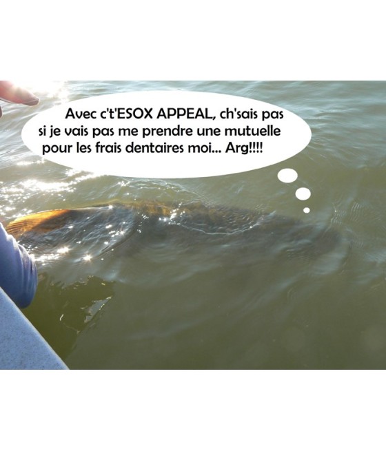 ULTIMATE FISHING ESSOX APPEAL