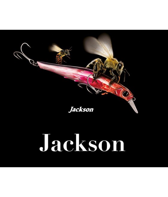 JACKSON -  ARTIST FR80 8CM - 8G