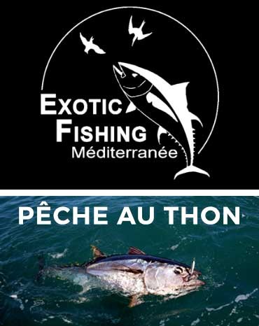 Exotic Fishing - Guide